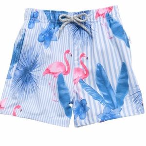 Vintage summer boys flamingo volley swim shorts